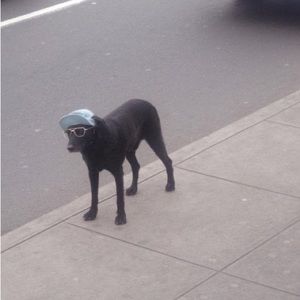 Meet your Posher, Abraham